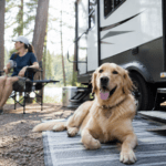 Golden Retriever at a Forest Campsite